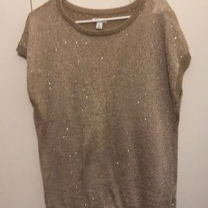 Short Sleeve Sequined Sweater
